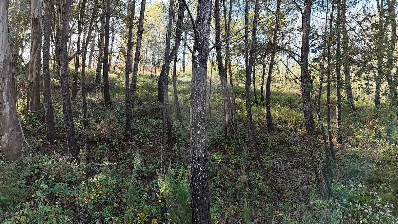 Terreno para Venda em Carnide Foto 4