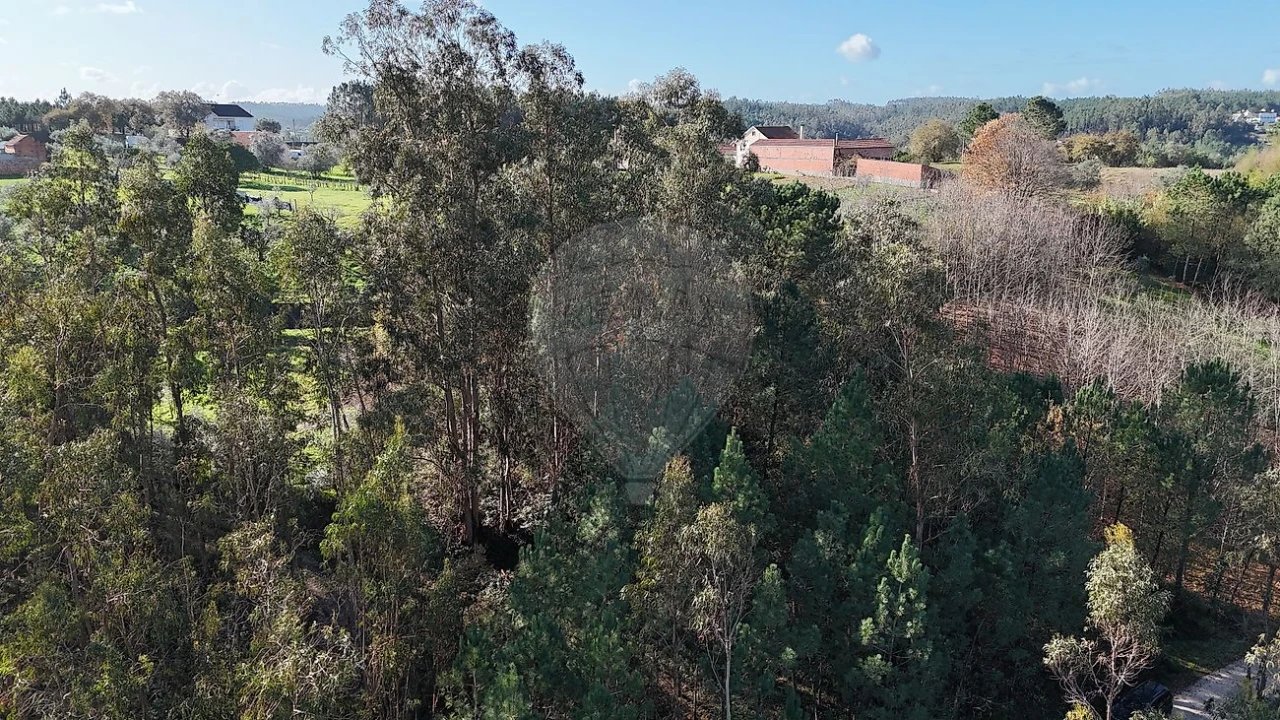 Terreno para Venda em Carnide Foto 2