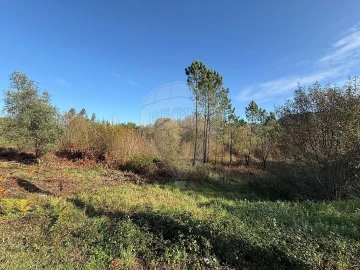 Terreno para Venda em Carnide