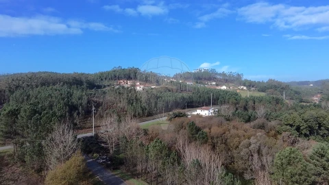 Terreno para Venda em Carnide