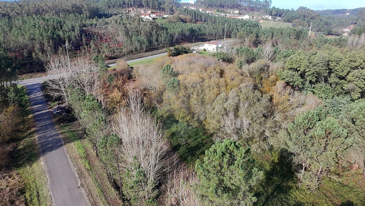 Terreno para Venda em Carnide Foto 1
