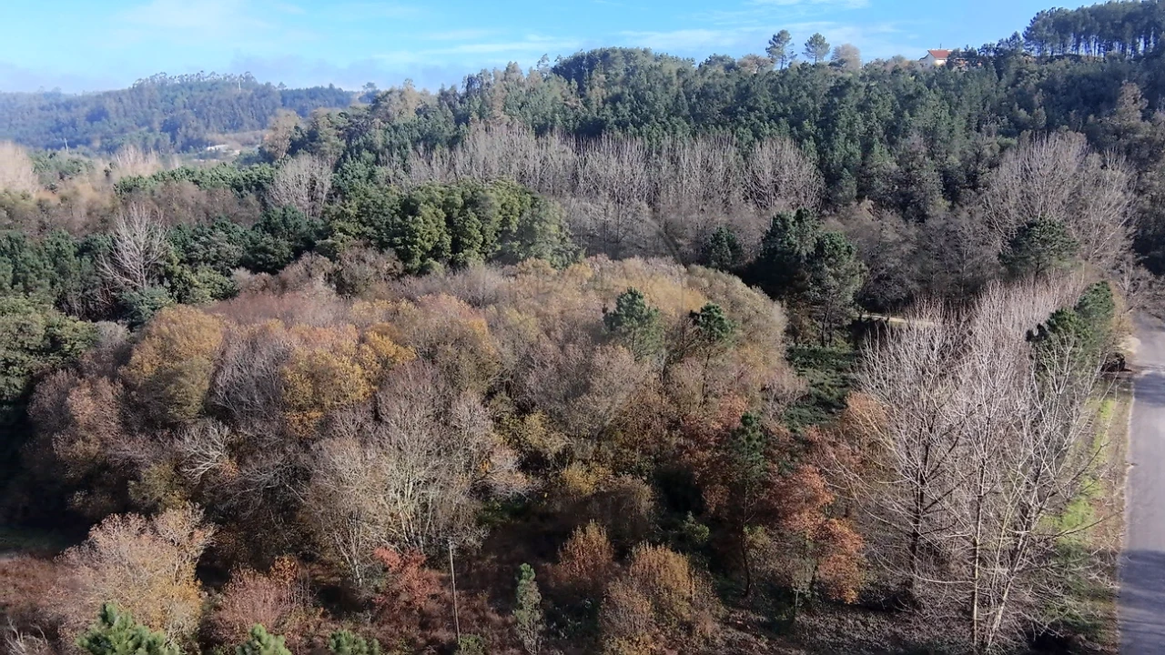Terreno para Venda em Carnide Foto 4
