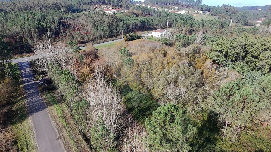 Terreno para Venda em Carnide