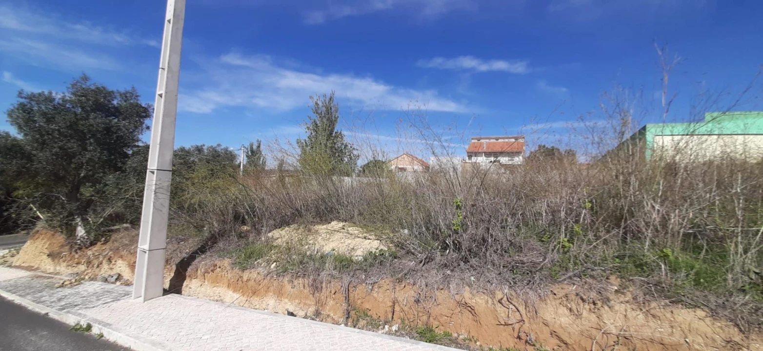 Terreno para Venda em Santo António dos Cavaleiros e Frielas Foto 5