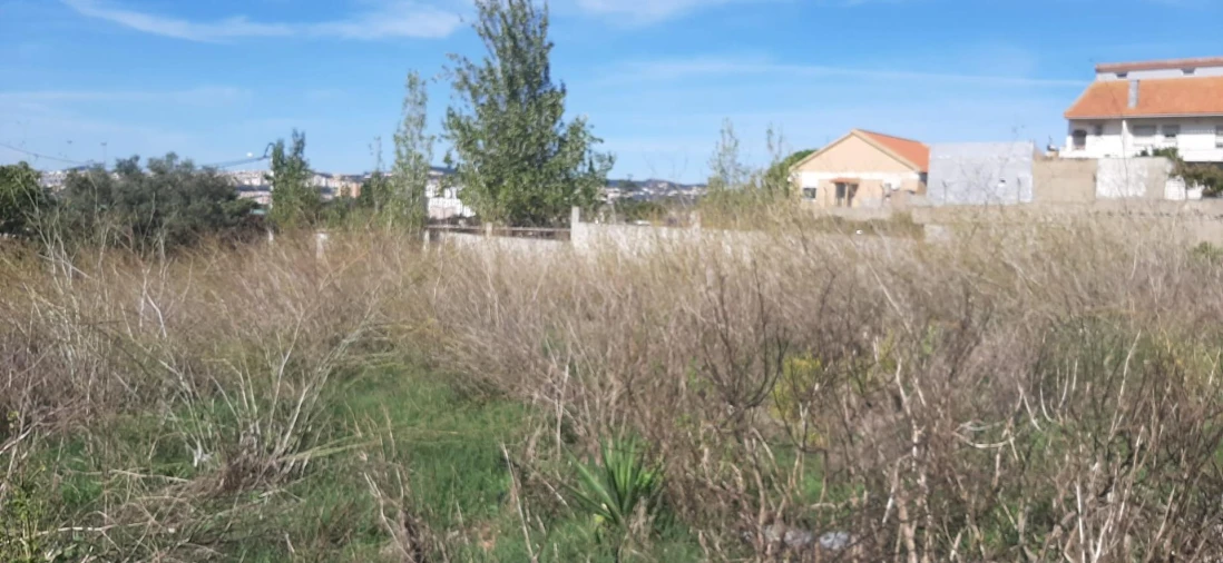 Terreno para Venda em Santo António dos Cavaleiros e Frielas Foto 6