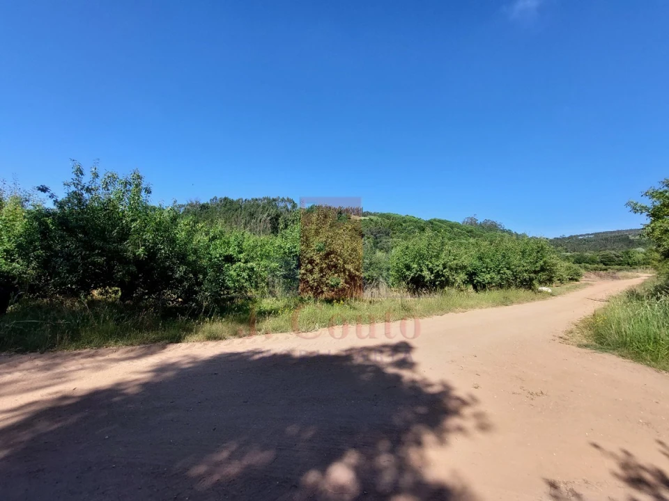 Terreno Agricola ou Rústico para Venda em A dos Negros Foto 1