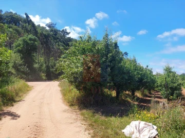 Terreno Agricola ou Rústico para Venda em A dos Negros