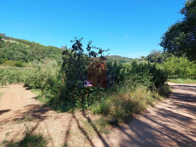 Terreno Agricola ou Rústico para Venda em A dos Negros Foto 7