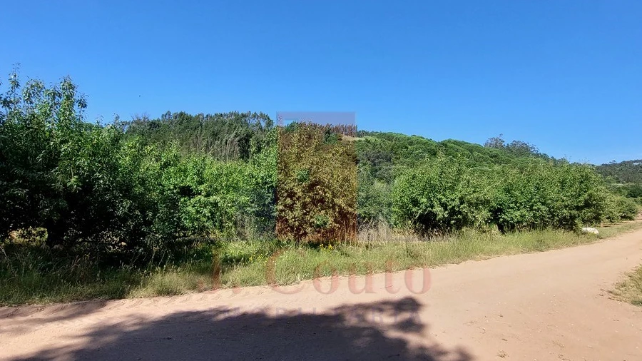 Terreno Agricola ou Rústico para Venda em A dos Negros