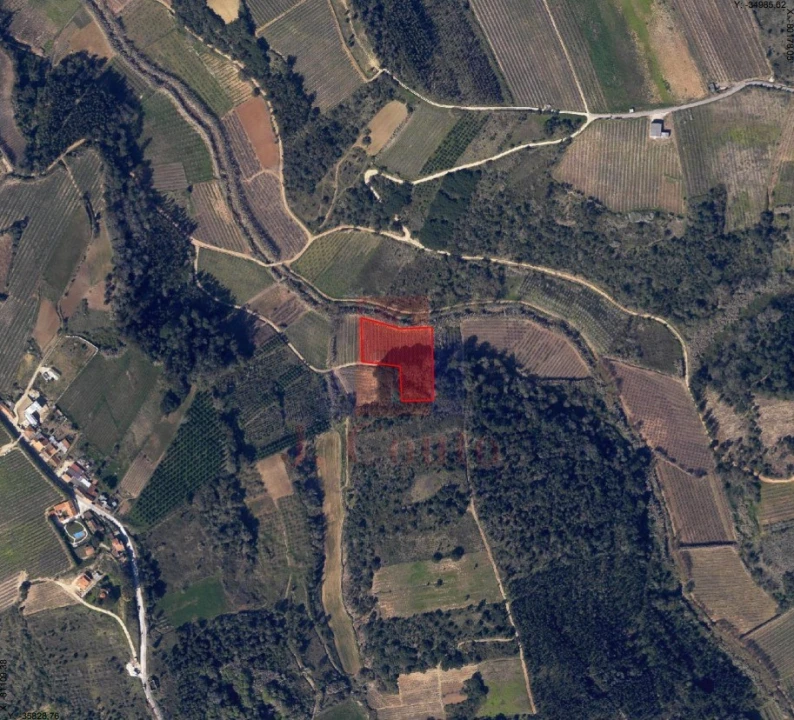 Terreno Agricola ou Rústico para Venda em A dos Negros Foto 2