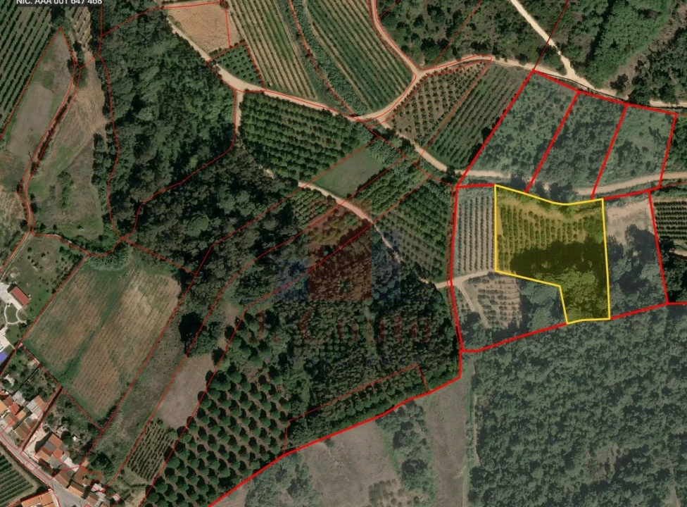 Terreno Agricola ou Rústico para Venda em A dos Negros Foto 3