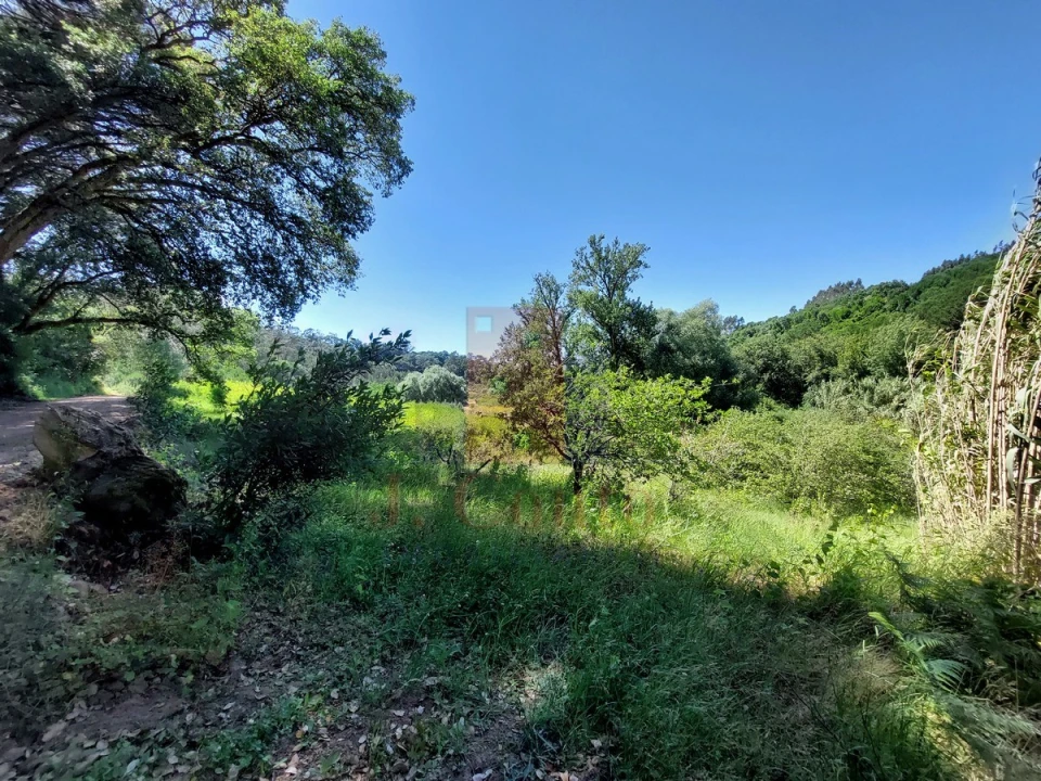Terreno Agricola ou Rústico para Venda em A dos Negros Foto 5