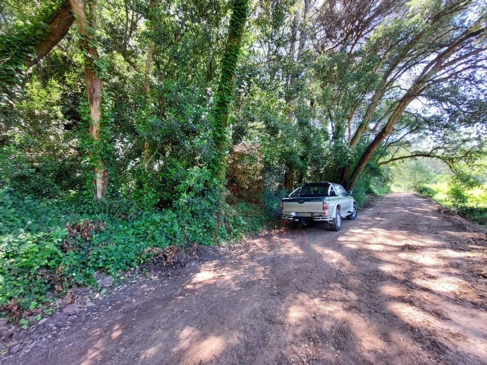 Terreno Agricola ou Rústico para Venda em A dos Negros Foto 6