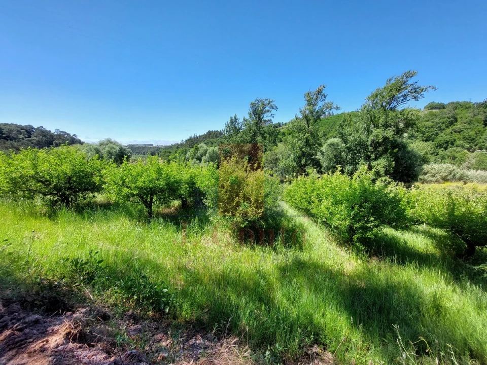 Terreno Agricola ou Rústico para Venda em A dos Negros Foto 7