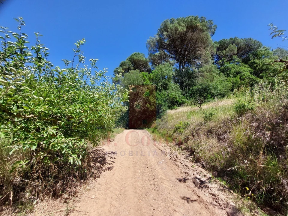 Terreno Agricola ou Rústico para Venda em A dos Negros Foto 9