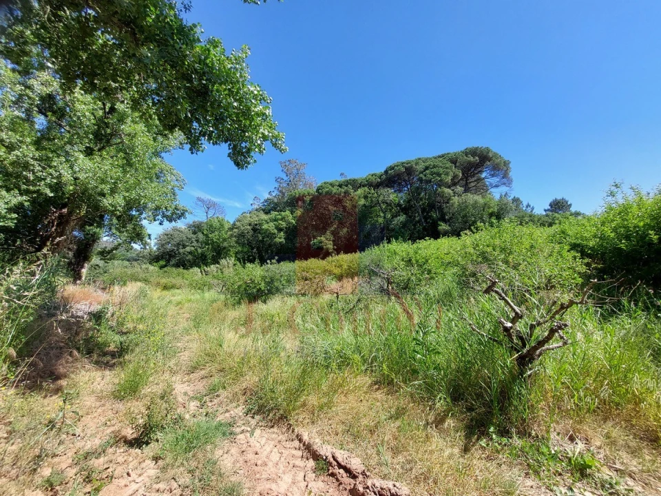 Terreno Agricola ou Rústico para Venda em A dos Negros Foto 10