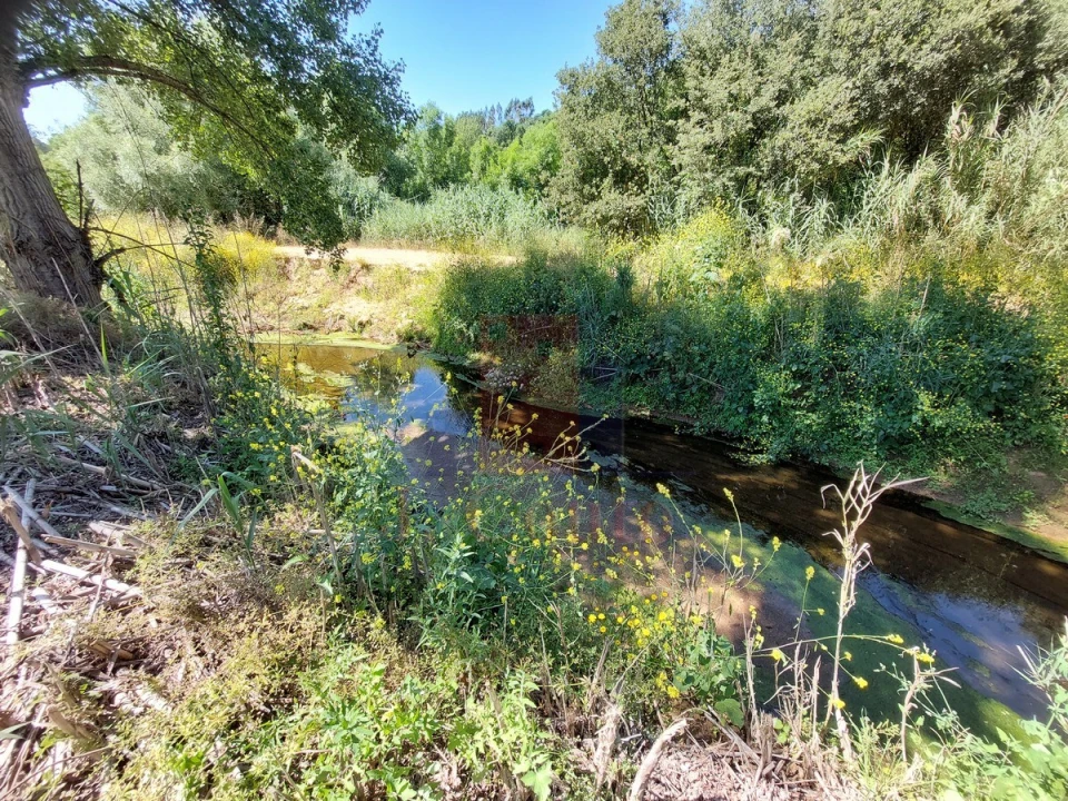 Terreno Agricola ou Rústico para Venda em A dos Negros Foto 11
