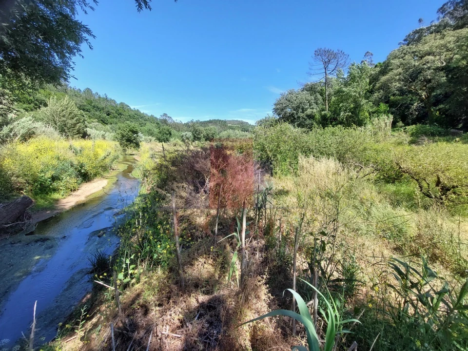 Terreno Agricola ou Rústico para Venda em A dos Negros Foto 13