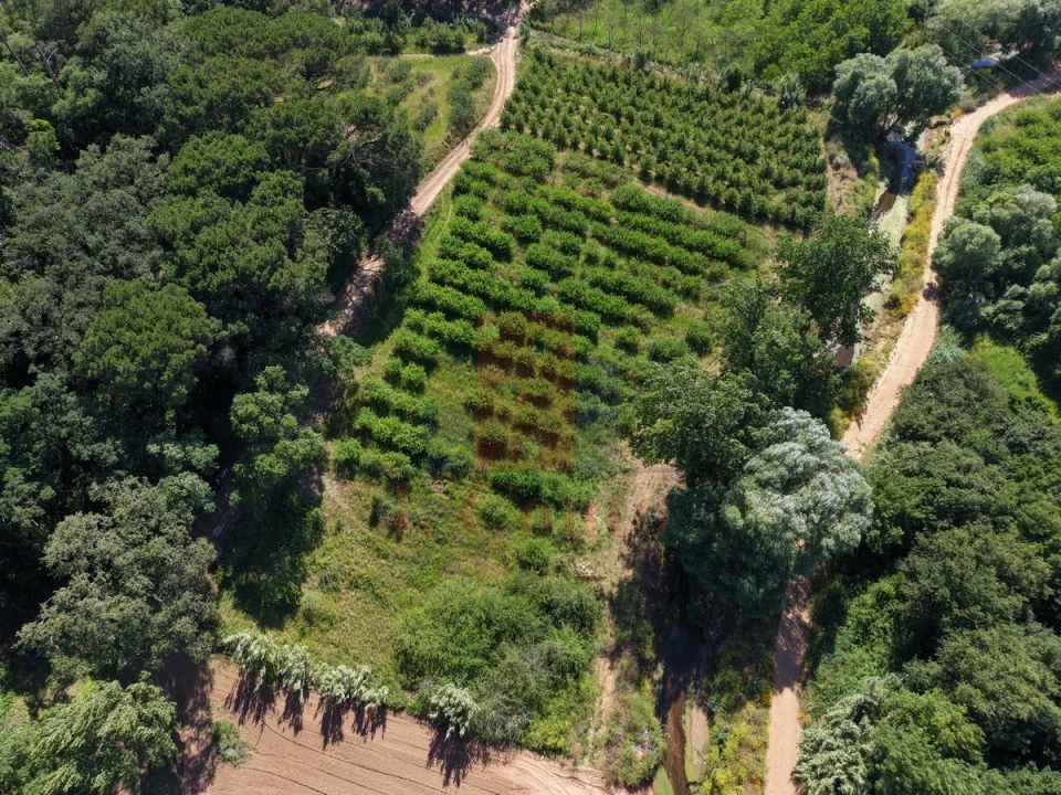 Terreno Agricola ou Rústico para Venda em A dos Negros Foto 19