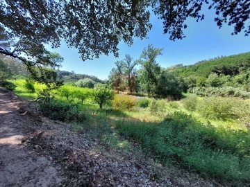 Terreno Agricola ou Rústico para Venda em A dos Negros