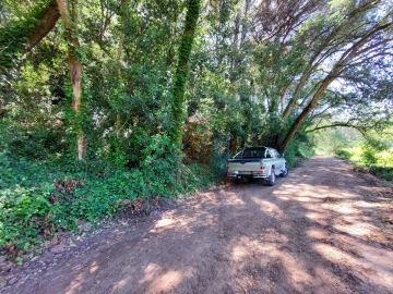 Terreno Agricola ou Rústico para Venda em A dos Negros