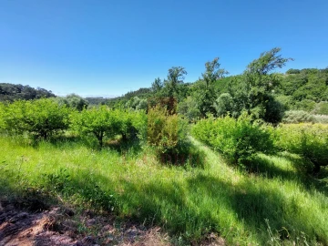 Terreno Agricola ou Rústico para Venda em A dos Negros