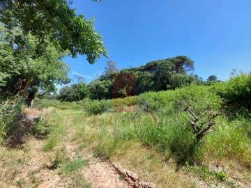 Terreno Agricola ou Rústico para Venda em A dos Negros