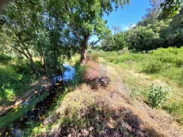 Terreno Agricola ou Rústico para Venda em A dos Negros