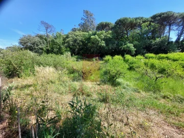 Terreno Agricola ou Rústico para Venda em A dos Negros