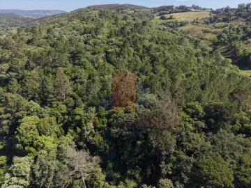 Terreno Agricola ou Rústico para Venda em A dos Negros