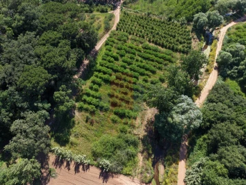 Terreno Agricola ou Rústico para Venda em A dos Negros