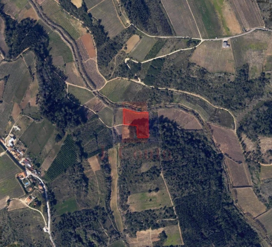 Terreno Agricola ou Rústico para Venda em A dos Negros Foto 2