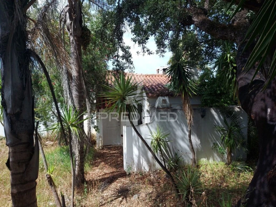 Moradia T2 para Venda em Albufeira e Olhos de Água Foto 2