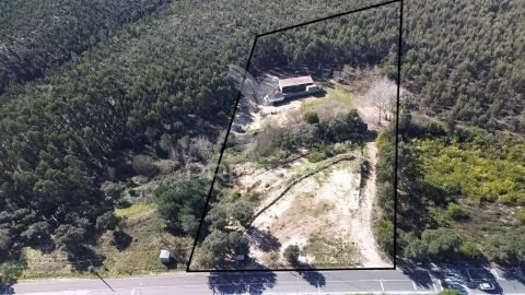 Terreno para Venda em Asseiceira