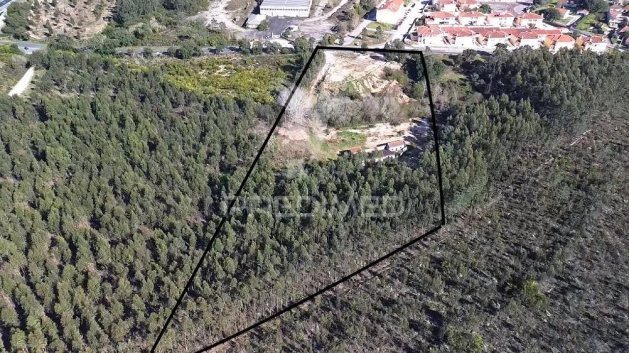 Terreno para Venda em Asseiceira Foto 3