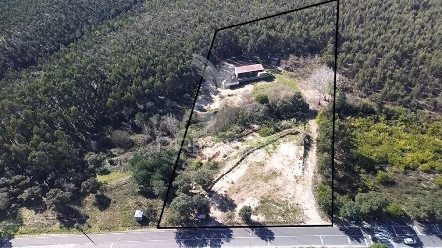 Terreno para Venda em Asseiceira Foto 2