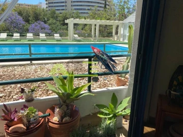 Apartamento T1 para Venda em Quarteira