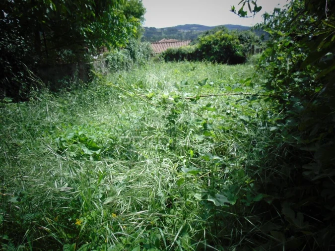 Moradia T4 para Venda em Andrães Foto 16