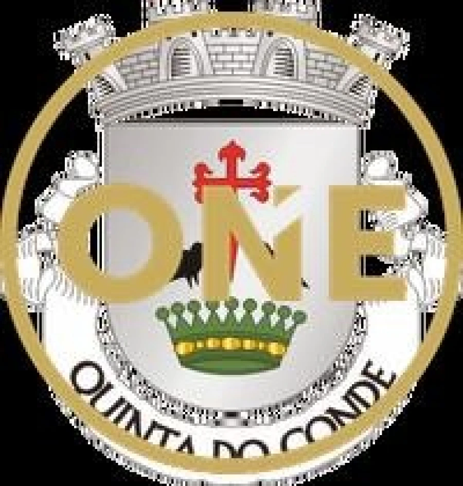 Terreno para Venda em Quinta do Conde Foto 2