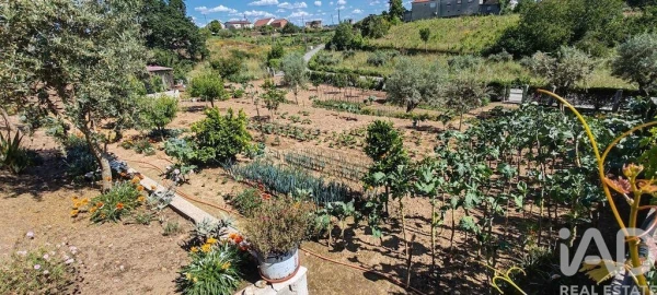 Moradia T5 para Venda em Graça