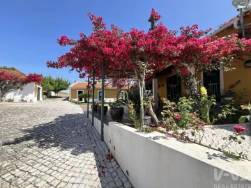 Quinta T4 para Venda em Achete, Azoia de Baixo e Póvoa de Santarém
