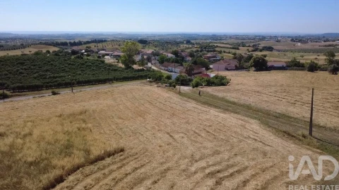 Quinta T4 para Venda em Achete, Azoia de Baixo e Póvoa de Santarém