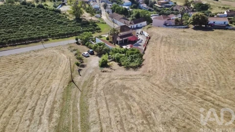 Quinta T4 para Venda em Achete, Azoia de Baixo e Póvoa de Santarém