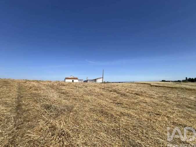 Quinta T4 para Venda em Achete, Azoia de Baixo e Póvoa de Santarém Foto 8