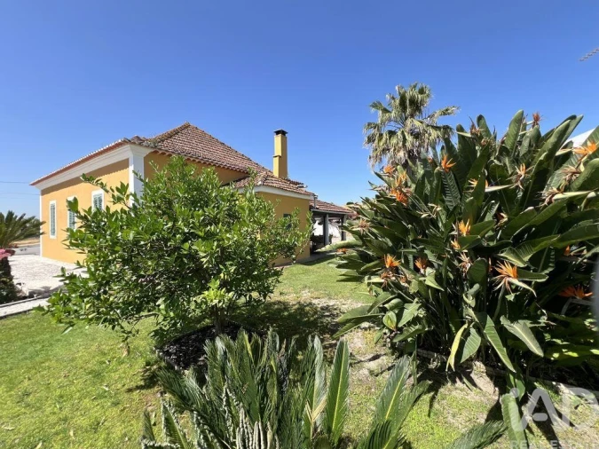 Quinta T4 para Venda em Achete, Azoia de Baixo e Póvoa de Santarém Foto 12