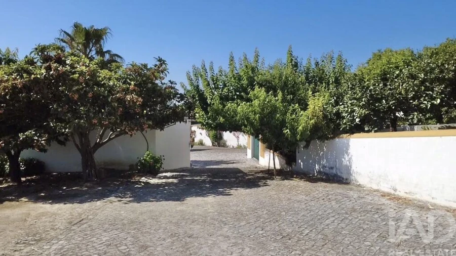 Quinta T4 para Venda em Achete, Azoia de Baixo e Póvoa de Santarém Foto 35