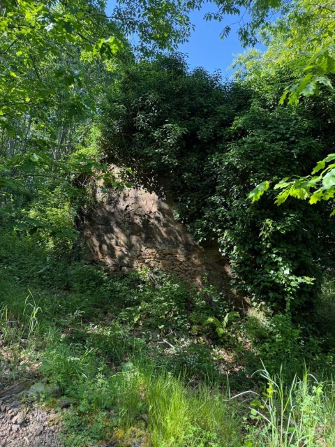 Terreno para Venda em Canedo, Vale e Vila Maior