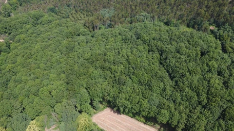 Terreno para Venda em Canedo, Vale e Vila Maior