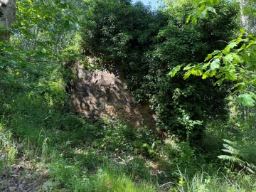 Terreno para Venda em Canedo, Vale e Vila Maior
