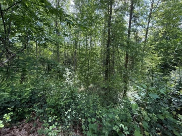 Terreno para Venda em Canedo, Vale e Vila Maior
